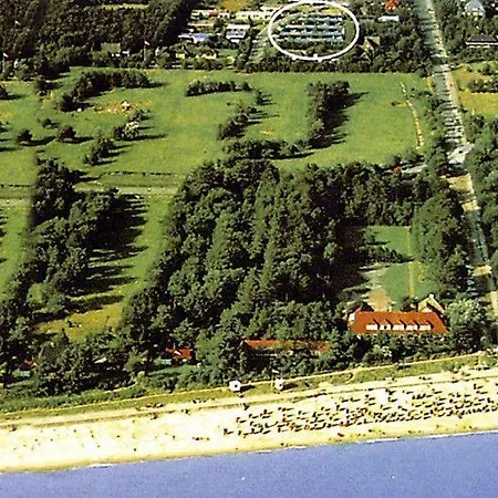 Haus-schwertmuschel-sfw-51