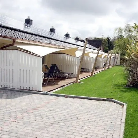 Haus-schwertmuschel-sfw-51 *