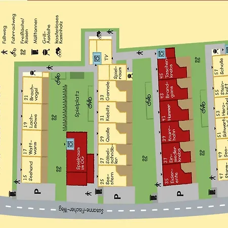 Haus-schwertmuschel-sfw-51